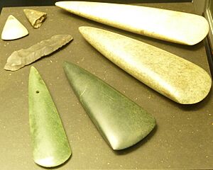 Archivo:068 Musée préhistoire Carnac