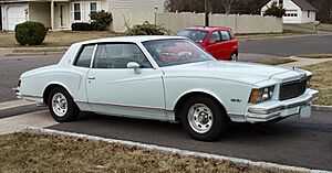 Archivo:1979 Chevrolet Monte Carlo in White, front right
