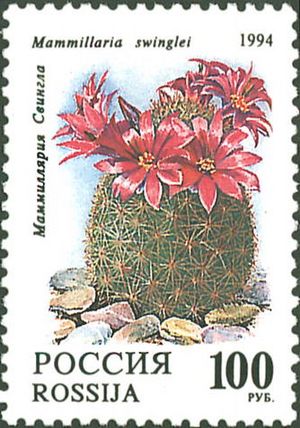 Archivo:1994. Марка России 0145 hi