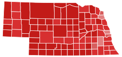 Elección al Senado de los Estados Unidos en Nebraska de 2020
