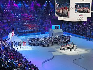 Archivo:2020 Winter Youth Olympics opening ceremony 5