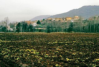 Archilla (2007).jpg