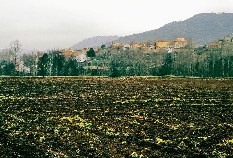 Archilla (2007)