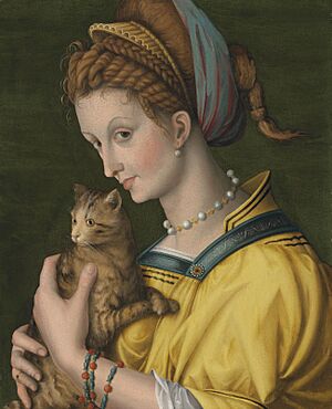 Archivo:Bacchiacca - Portrait of a young lady holding a cat