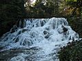 Blenheim cascade