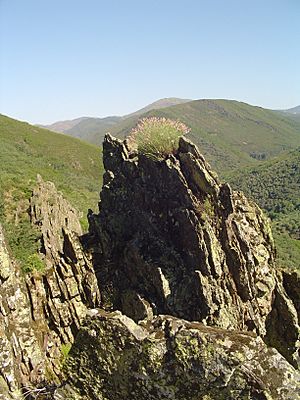 Archivo:Buitreras - panoramio