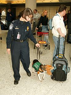 Archivo:CBP Airport