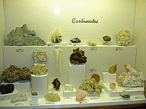 Archivo:Carbonates exhibit, Museum of Geology, South Dakota