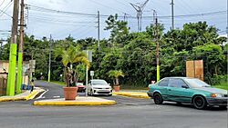Carretera PR-794, Aguas Buenas, Puerto Rico.jpg
