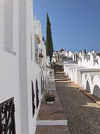 Archivo:Cementerio de Casabermeja
