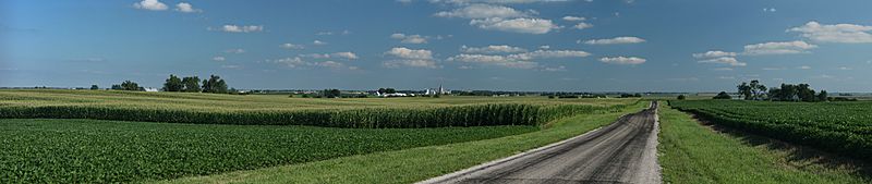 Archivo:Corn fields near Royal, Illinois