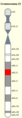 Cromosoma22