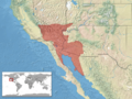 Crotalus cerastes distribution