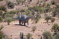 Dinosaurio en Pichasca visto desde arriba