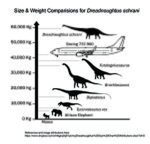 Archivo:Dreadnoughtus Mass Comparison (Metric)
