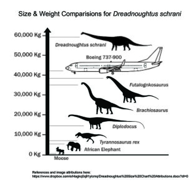 Dreadnoughtus Mass Comparison (Metric)