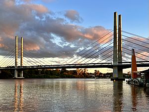 Archivo:Eleanor Schonell Bridge at sunset, Brisbane, January 2022