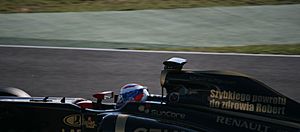 Archivo:F1 2011 Jerez day2 22