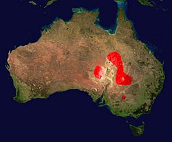 Distribución del taipán del interior (en rojo)