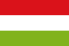 Flag of Une (Cundinamarca.svg