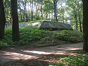 Archivo:Forest Academy bunker 2
