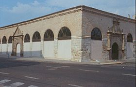 Fundación Joaquín Díaz - Reales Carnicerías - Medina del Campo (Valladolid) (1)