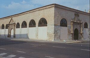 Archivo:Fundación Joaquín Díaz - Reales Carnicerías - Medina del Campo (Valladolid) (1)
