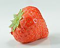 Garden strawberry (Fragaria × ananassa) single