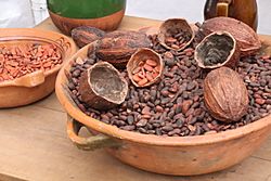 Archivo:Granos de cacao