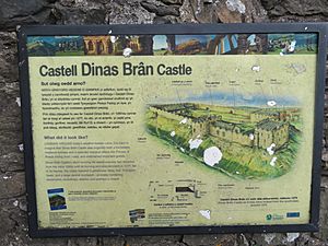 Archivo:Hysbysfwrdd yng Nghastell Dinas Brân, Sir Ddinbych (Denbighshire), Cymru (Wales) and surrounding views and flora 23