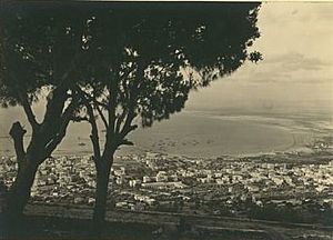 Archivo:Keren Hayesod Album, Haifa (cropped)