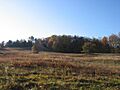 Landscape, Plainfield, MA