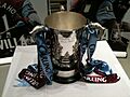 League Cup in AVFC colours