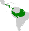 Lophostrix cristata map