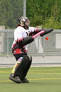 Archivo:M060519 vit vipers-dragons 0071