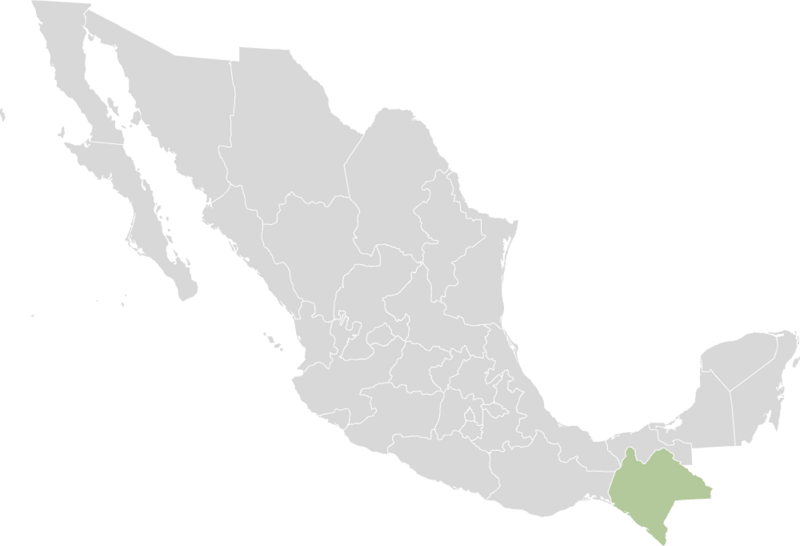 Mexico states chiapas