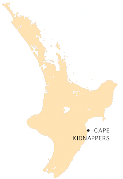 Archivo:NZ-C Kidnappers