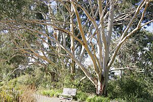 Archivo:National botanical gardens08