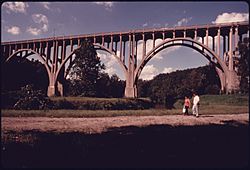 OHIO HIGHWAY 82 BRIDGE SPANS THE CUYAHOGA VALLEY AND THE OHIO-ERIE CANAL BEYOND THE WALKERS, NEAR CLEVELAND, OHIO.... - NARA - 557969.jpg