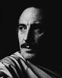 Orlando Letelier, Washingron DC, 1976 (de Marcelo Montecino) (3x4 cropped).jpg