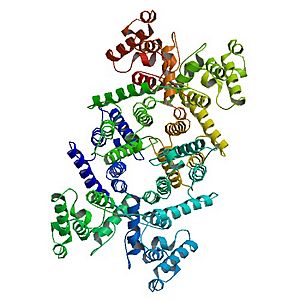 Archivo:PBB Protein DMD image