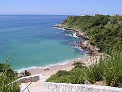Playa carrizalillo.jpg