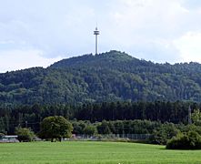 Plettenberg-suabia