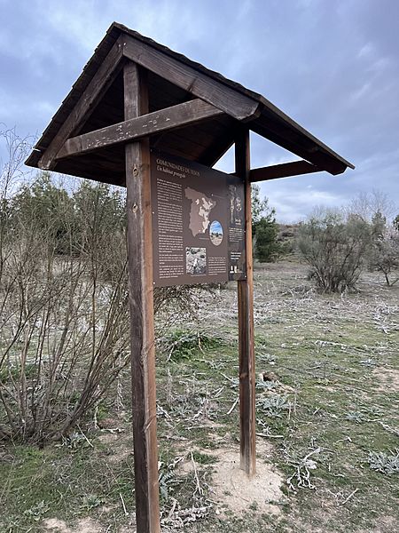 Poste los yesares