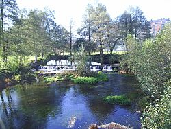 Río Sarria.JPG