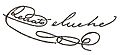 Renato Beluche signature 2012 000