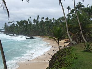 Archivo:São Tomé - Ilhéu das Rolas - Praia de Santo António (3)