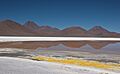 Salar de Pujsa con Acamarachi