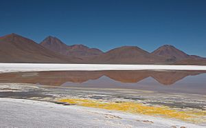 Archivo:Salar de Pujsa con Acamarachi