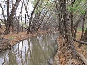 Santa Cruz River Red Rock Pinal County Arizona 2014.jpg
